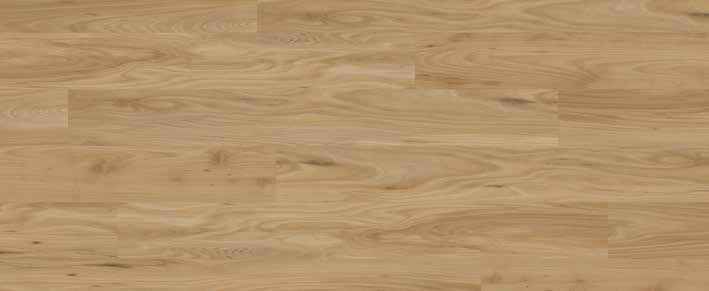 Teak Teak India