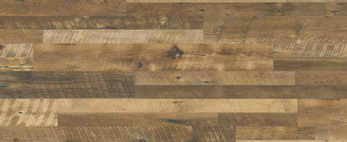 Teak Teak India