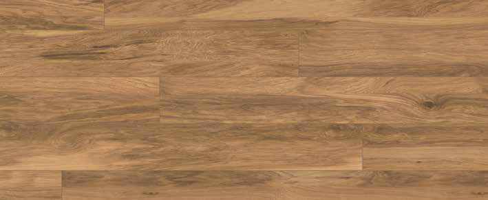 Oak Umber