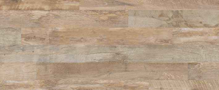 Teak Teak India