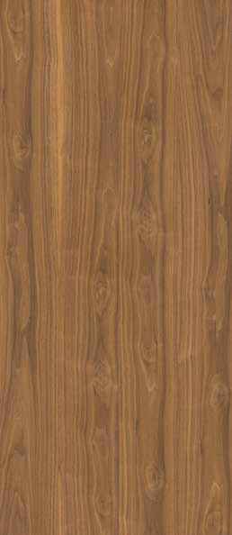 Oak Umber