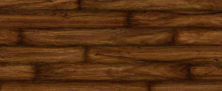 Teak Teak India