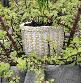 Opulent Table-Top Ceramic Planter