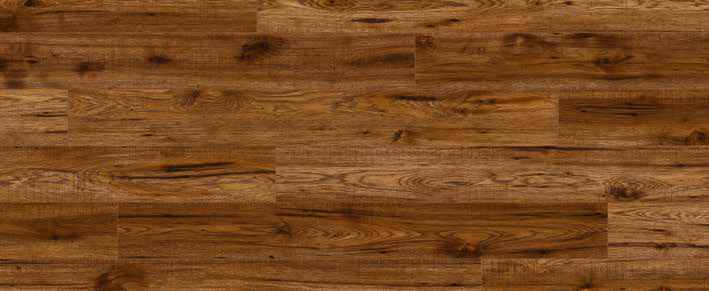 Teak Teak India