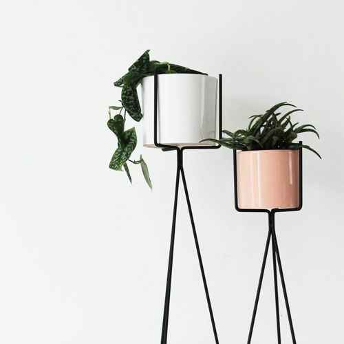 Chroma Flora Planters