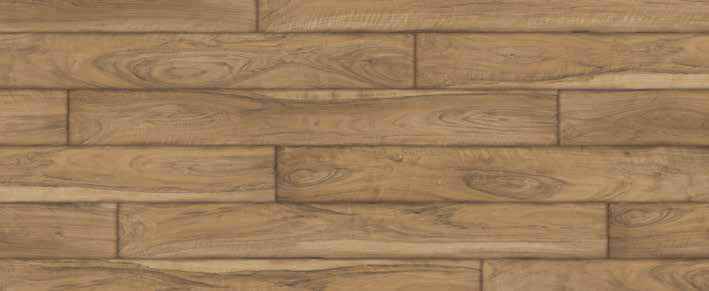 Teak Teak India