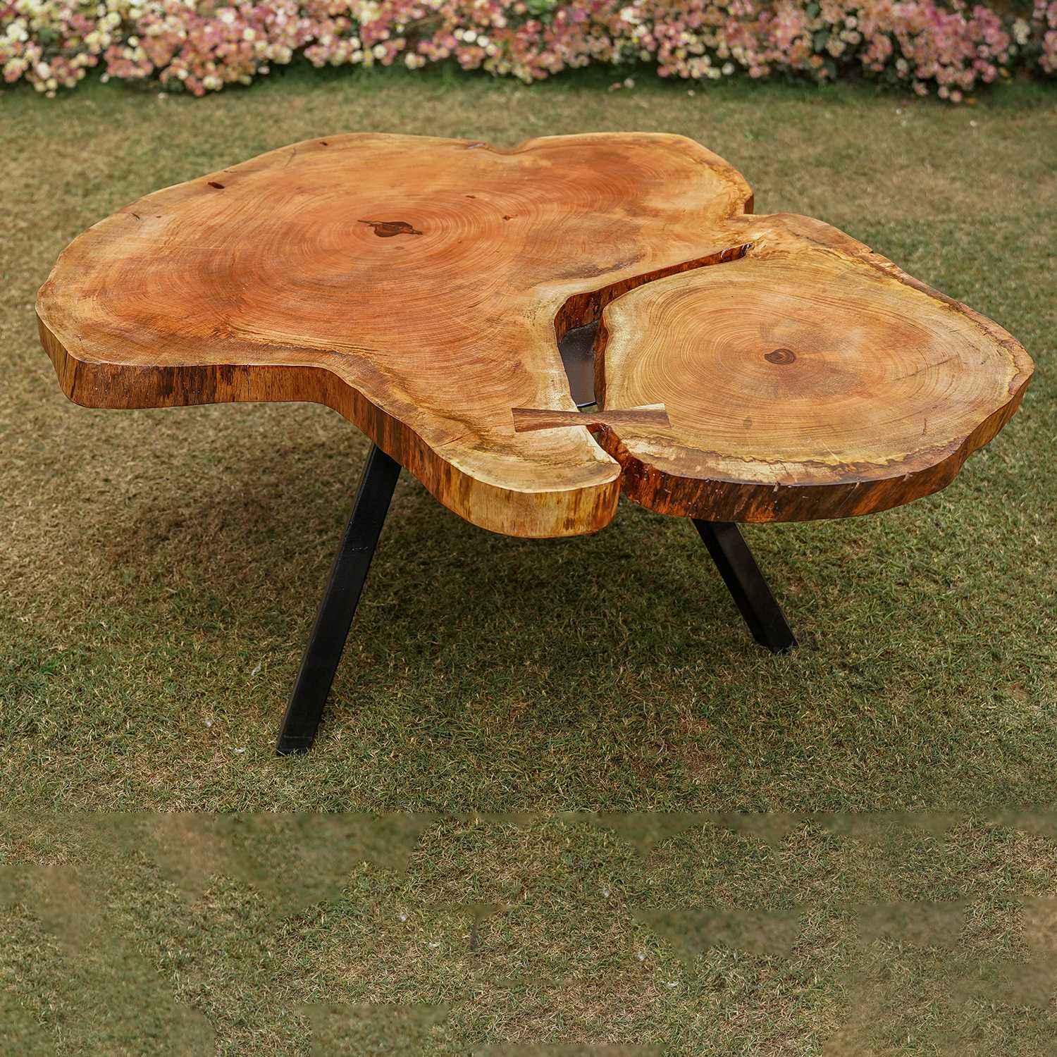 Rustic live edge Sheesham wood Dining Table