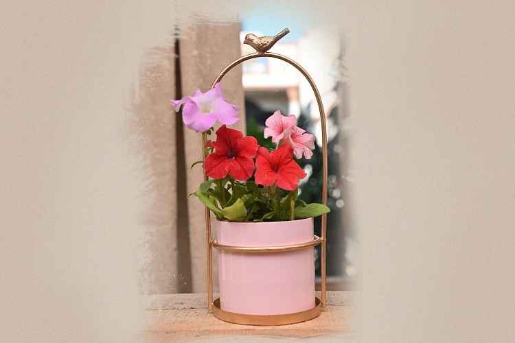 Metal Hanging Planter with Jute Rope