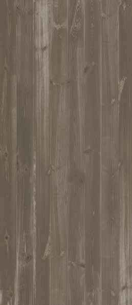 Teak Teak India