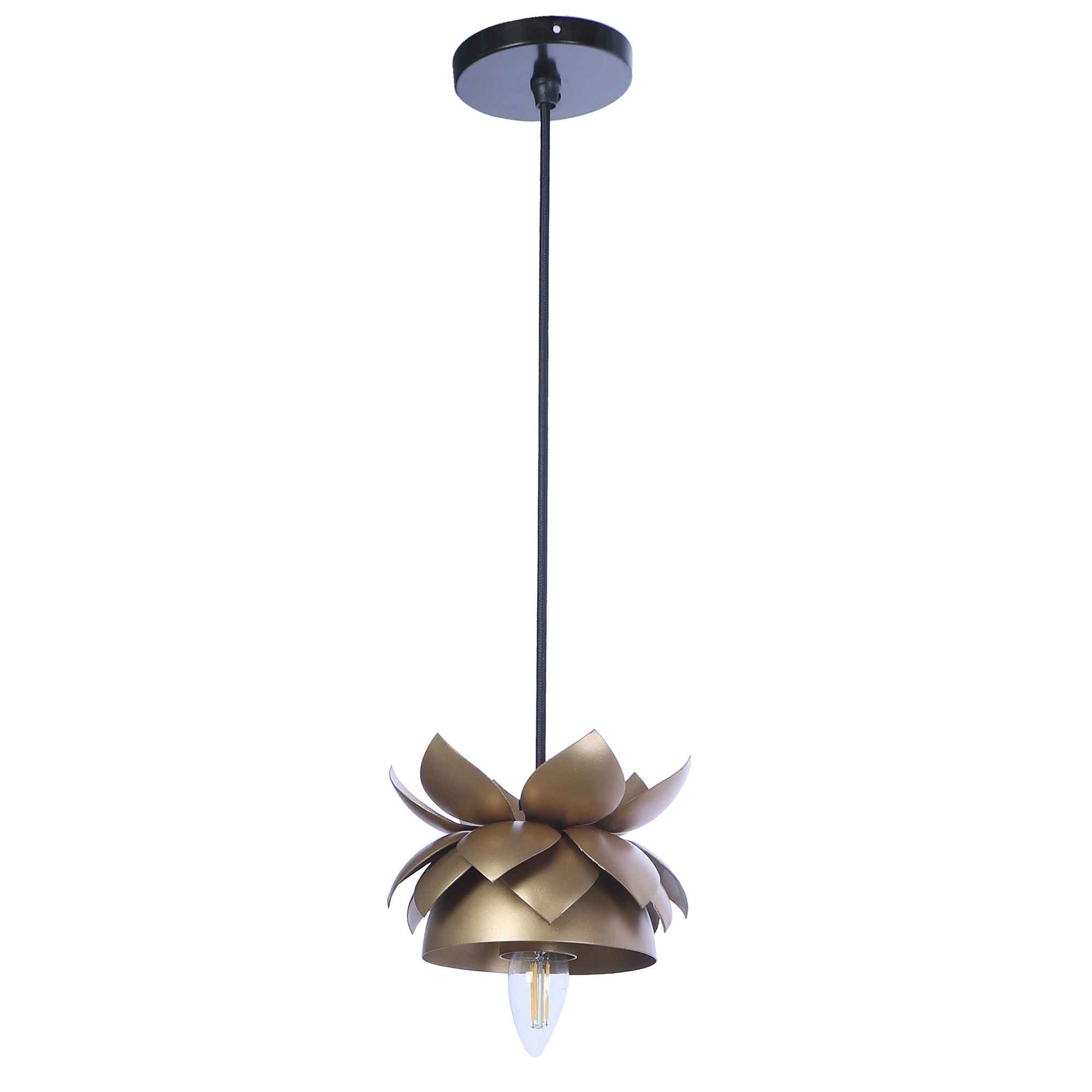 Hang Metal Hanging Light