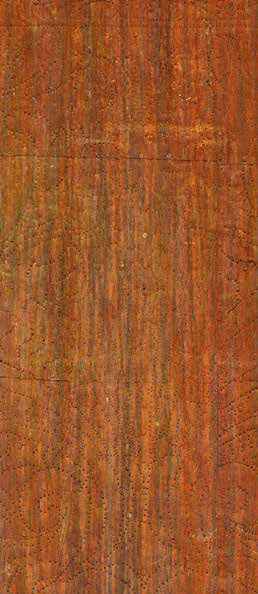 Oak Umber