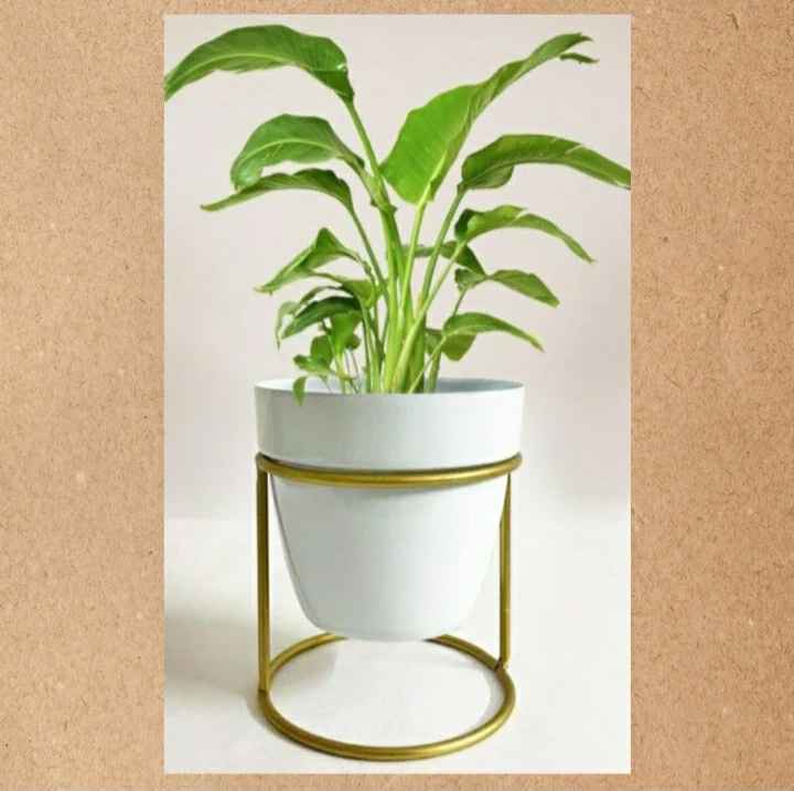 Metal Hanging Planter with Jute Rope