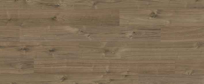 Oak Umber