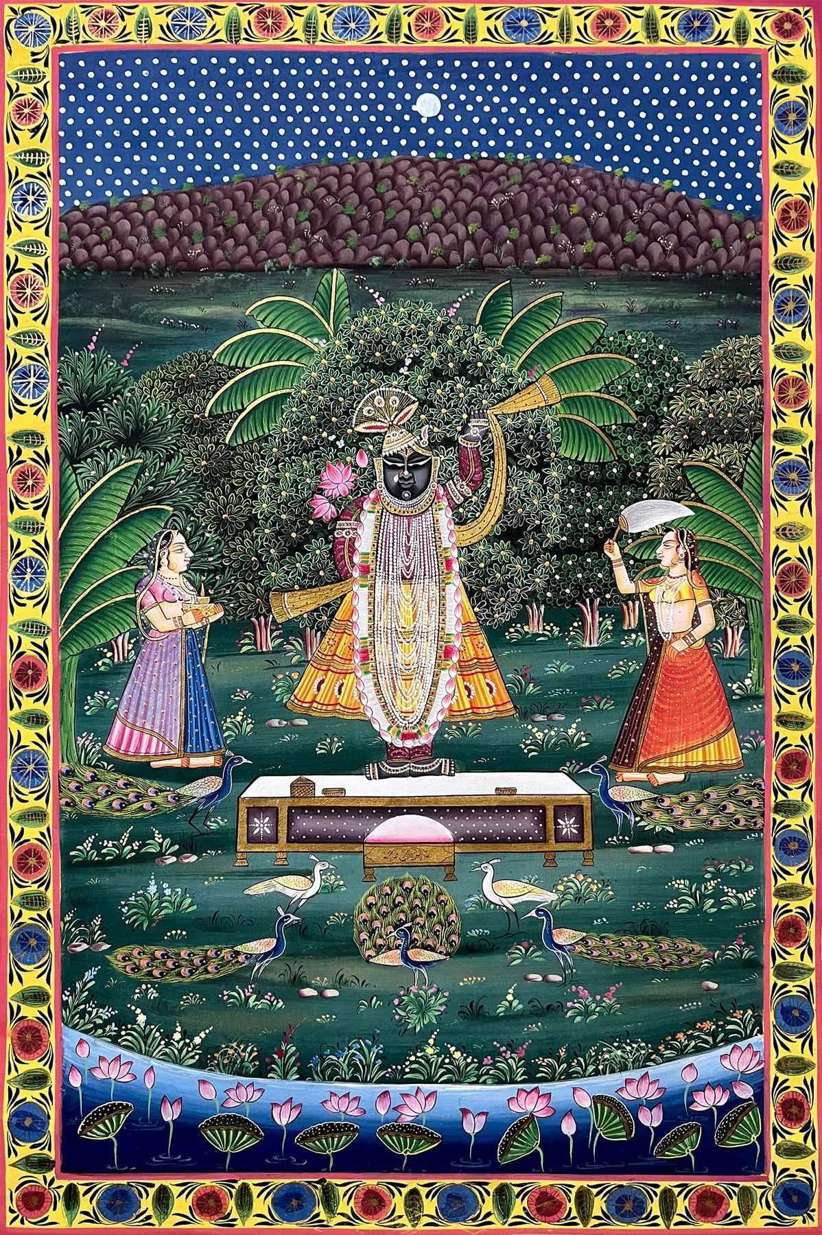 Shrinathji Devotees & Peacocks
