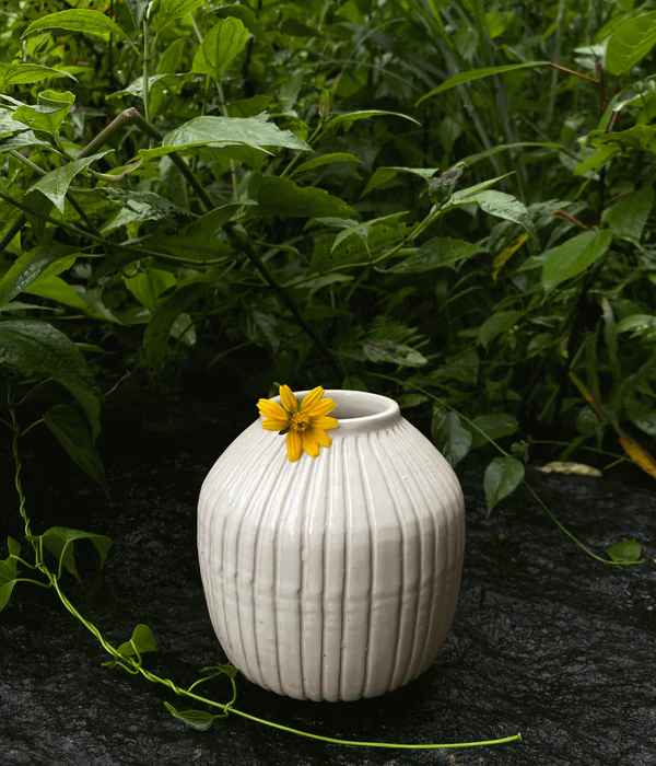 Rectangular Wicker Basket with Lid