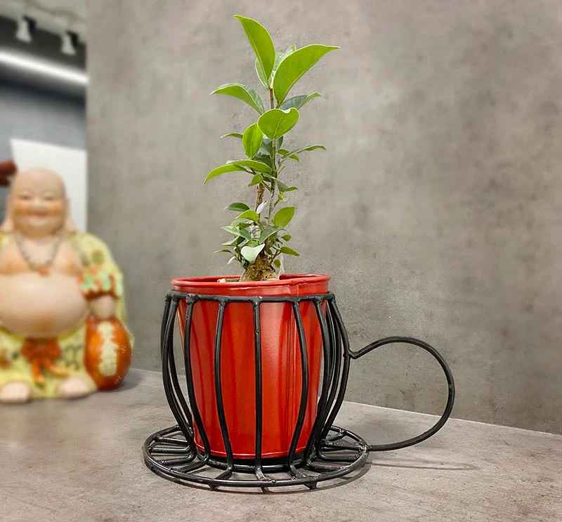 Metal Hanging Planter with Jute Rope