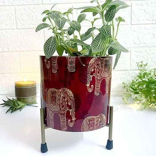 Metal Hanging Planter with Jute Rope