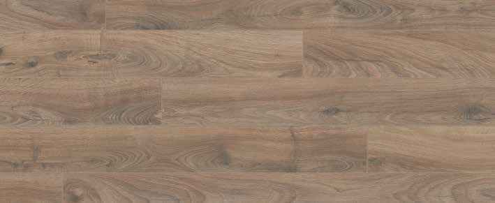Teak Teak India