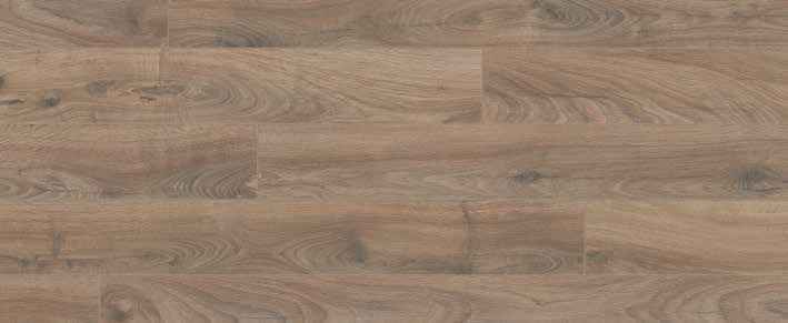 Oak Umber