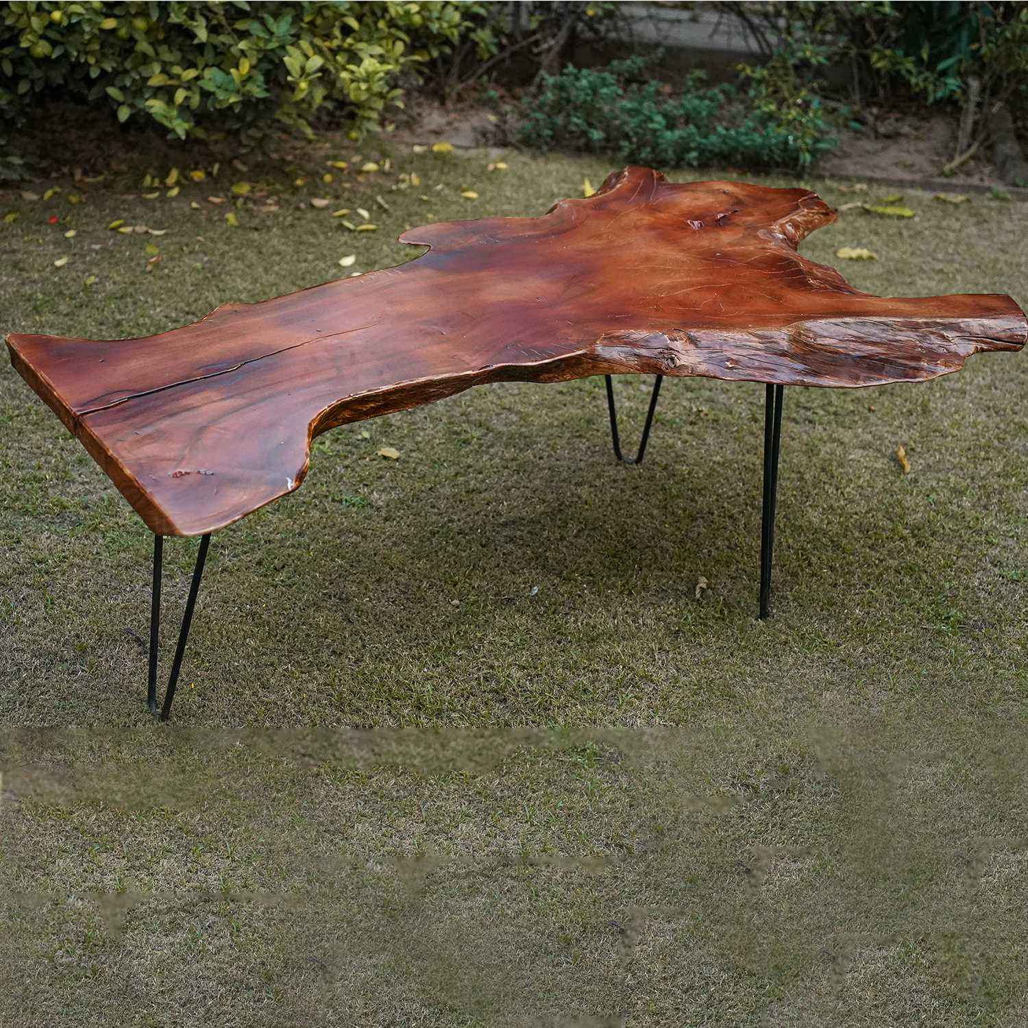 Round live edge hollock and iron coffee table Table