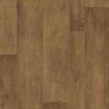 Teak Teak India