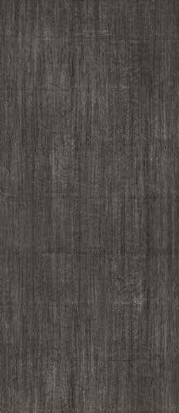 Teak Teak India