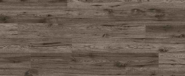 Oak Umber