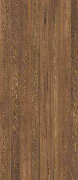 Teak Teak India