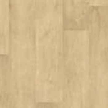 Teak Teak India