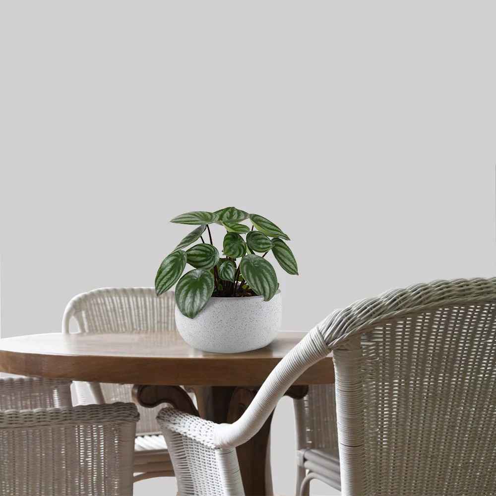 Tranquil Tides Rattan Side Table