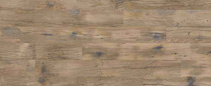 Teak Teak India