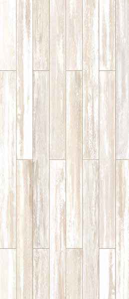 Teak Teak India