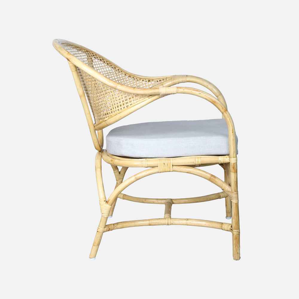 Nature's Embrace Cane Armchair