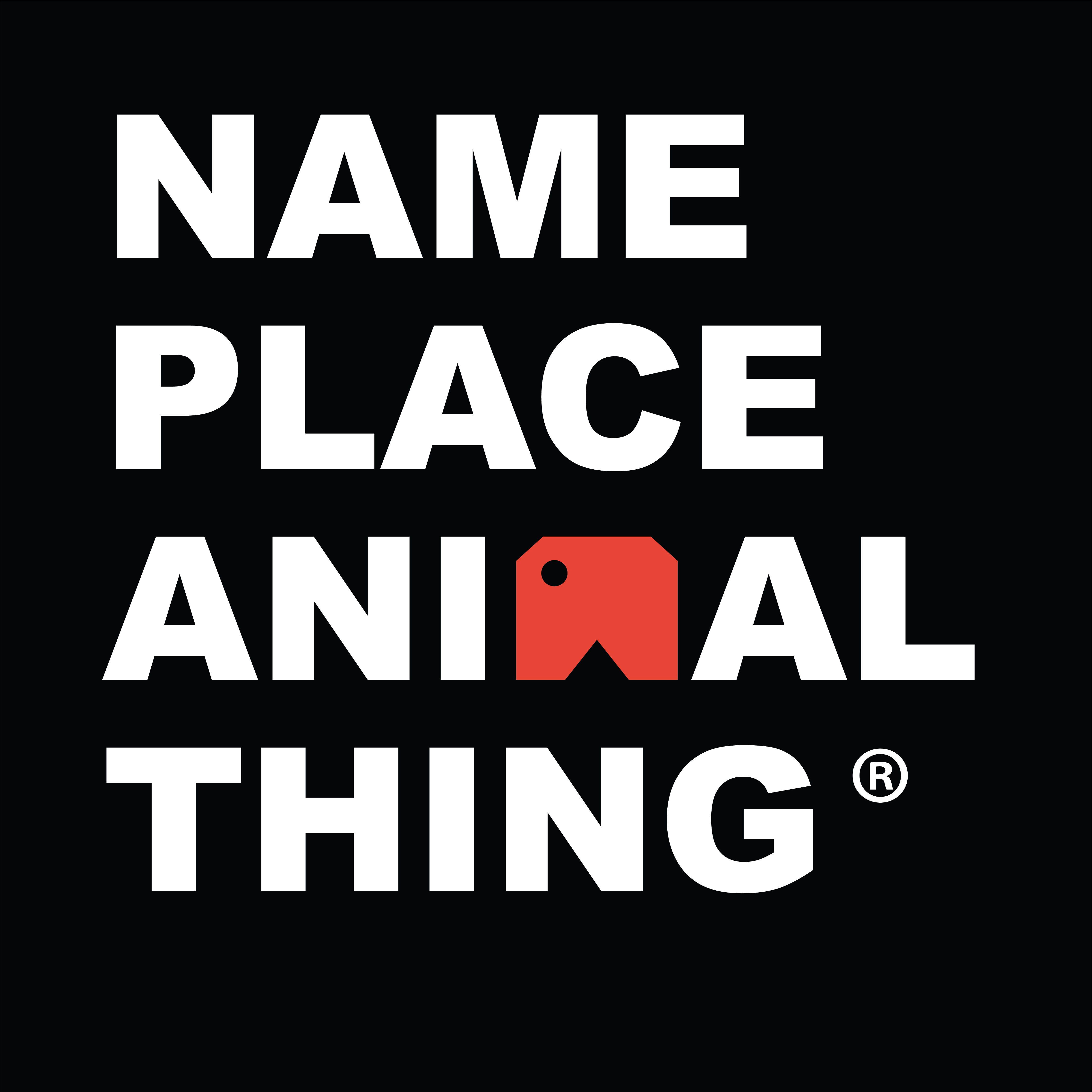 Name Place Animal Thing